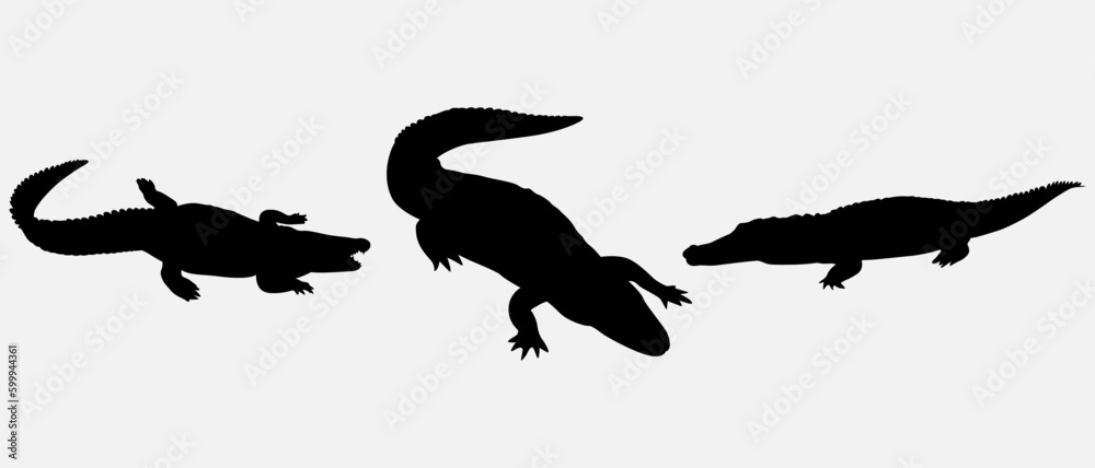 Obraz premium isolated black silhouette of a crocodile , vector collection
