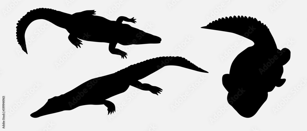 Obraz premium isolated black silhouette of a crocodile , vector collection