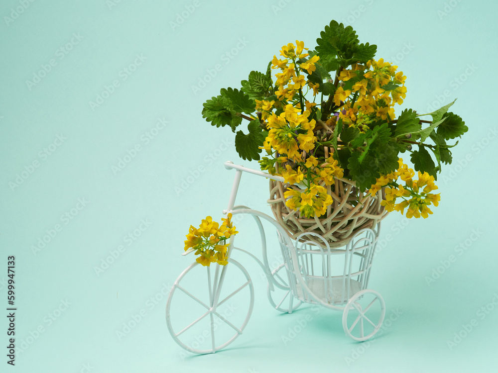 bouquet of yellow flowers isolated on a white background