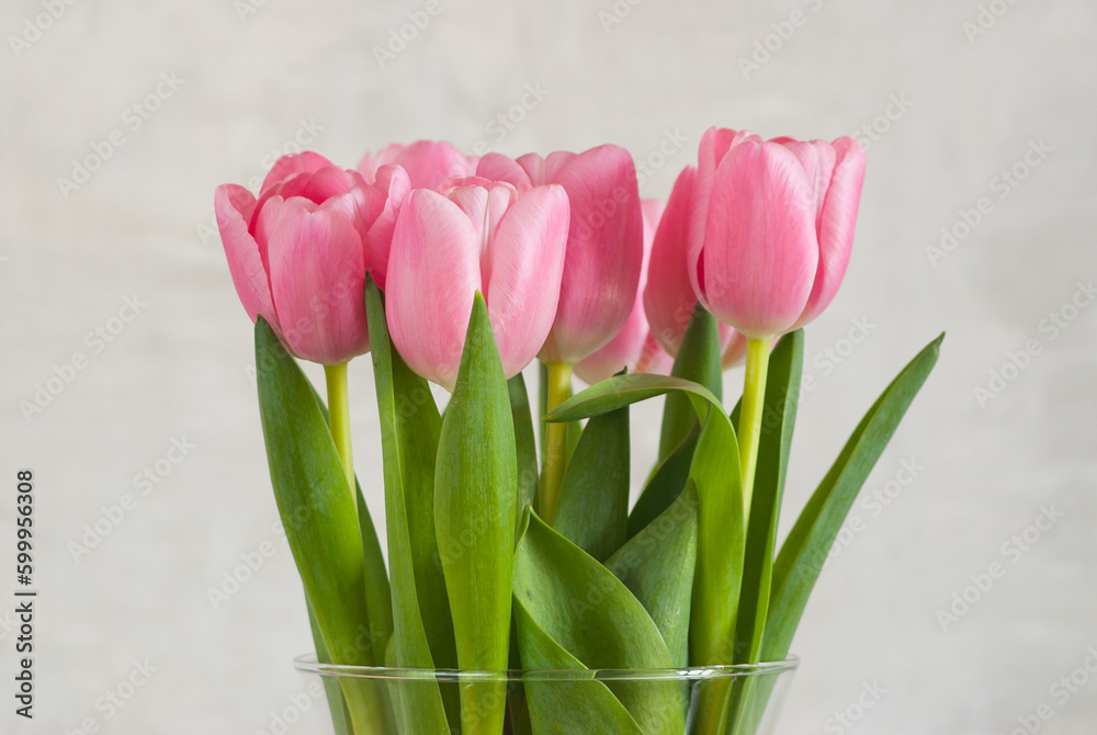 pink tulips in a vase on a gray background