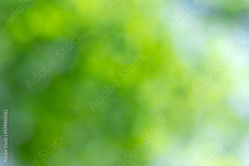 Green bokeh background and sunlight