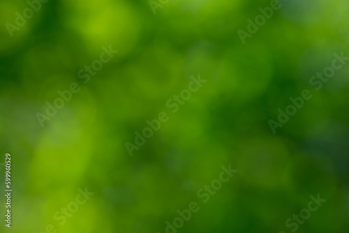 Green bokeh background and sunlight