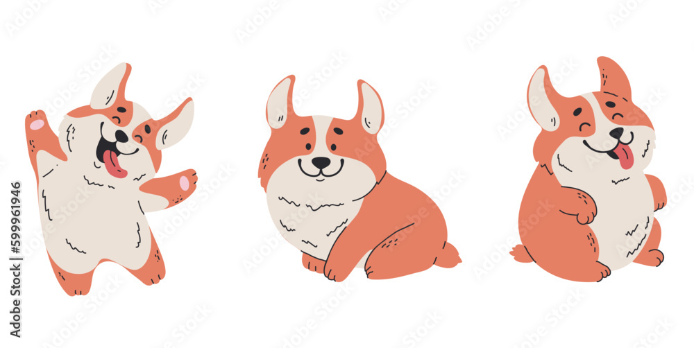 Corgi dog line art style character isolated set concept. Vector graphic design illustration

