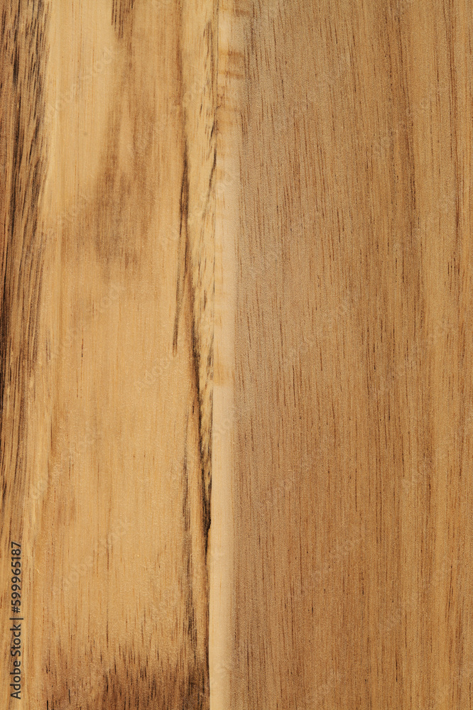 Fototapeta premium Mango tree wood texture with rings of different colors closeup, natural background