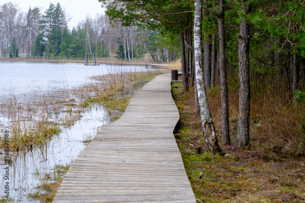 Obraz premium Wooden path along the shore of the lake, plank deck, modern landscape design, recreation area by the water