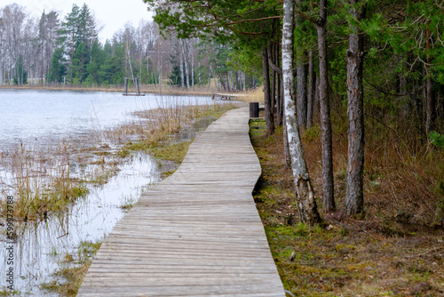 Wooden path along the shore of the lake, plank deck, modern landscape design, recreation area by the water