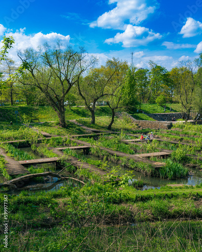 Piękny wiosenny krajobraz w Warszawskim parku
