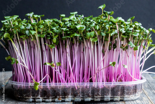 microgreens of different varieties, business card for microgreen