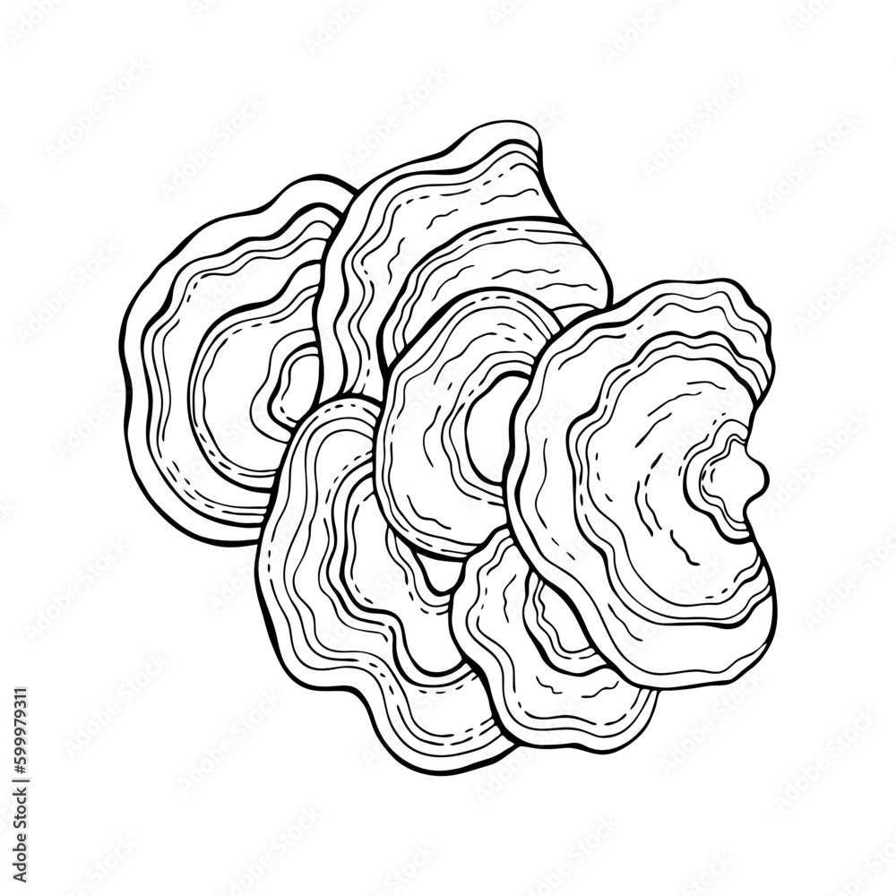 Obraz premium Mushrooms black outline on white background vector element for wrapping paper, postcards, textile