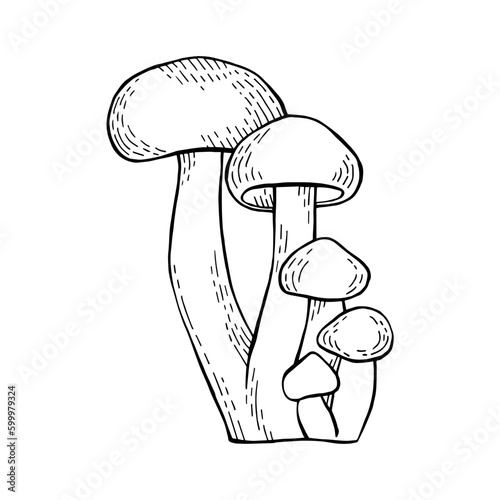 Mushrooms black outline on white background vector element for wrapping paper, postcards, textile