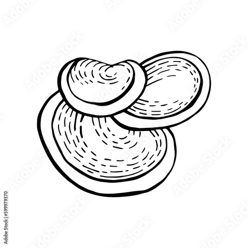 Mushrooms black outline on white background vector element for wrapping paper, postcards, textile