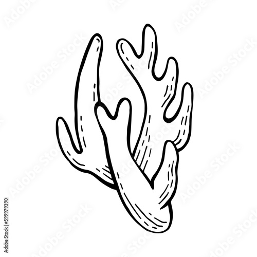 Mushrooms black outline on white background vector element for wrapping paper, postcards, textile