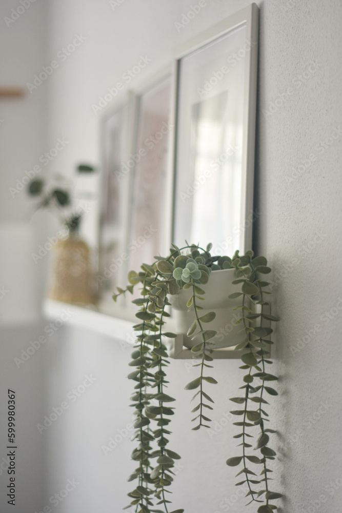 decoración de casa decoración de casa