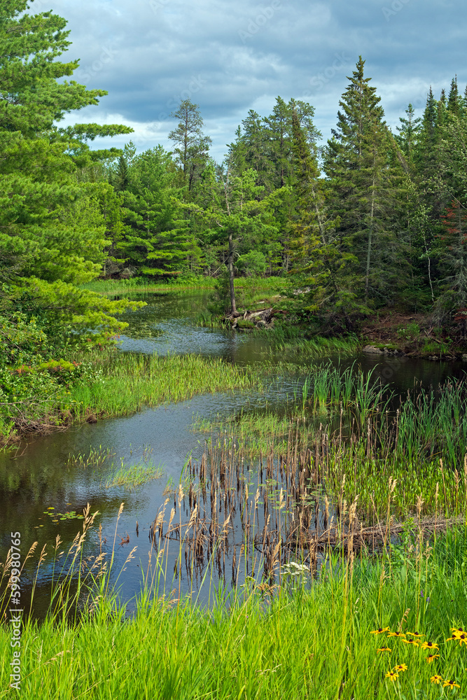 Quiet Inlet in the North Woods
