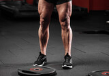 Trained legs with muscular calves in sneakers in training gym