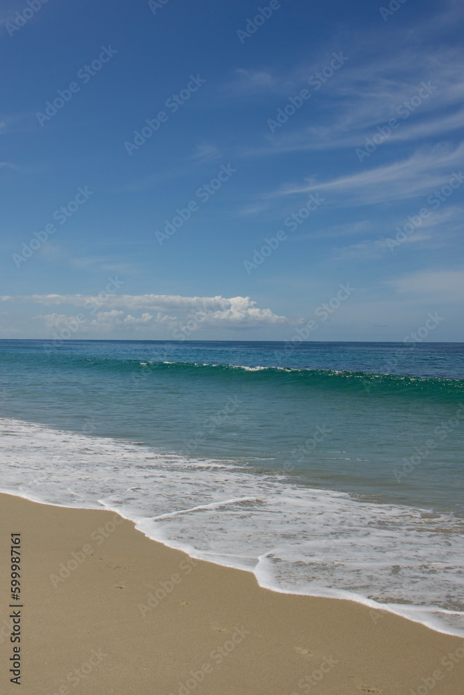 cresting wave along a pristine stretch of shoreline