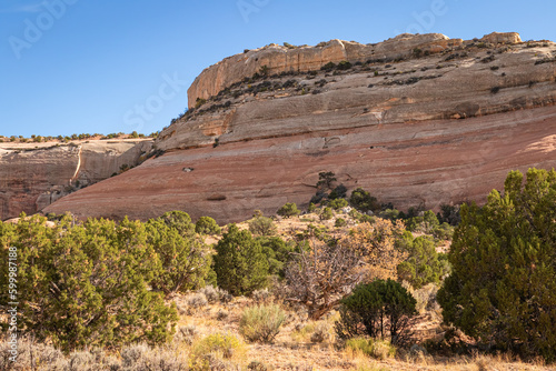 Sandstone mesa and vegetation in the arid desert landscape environment of Utah in the southwest United Stated with a cloudless blue sky.