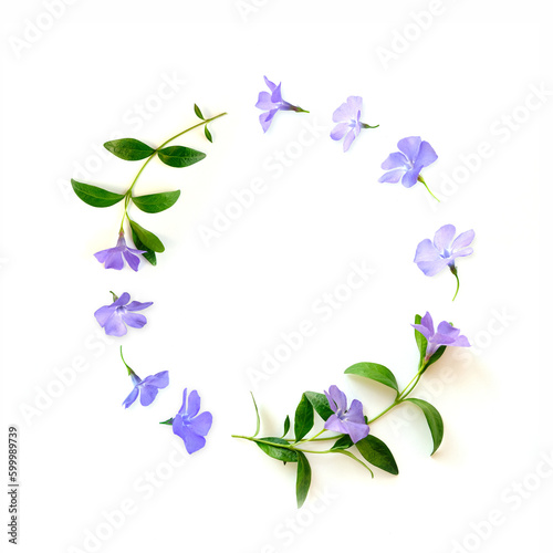 frame from blue flower buds, branches and leaves isolated on white background