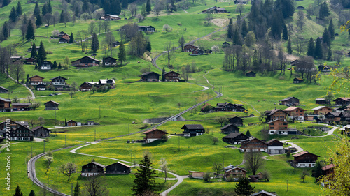 Nature in Grindelwald, Switzerland