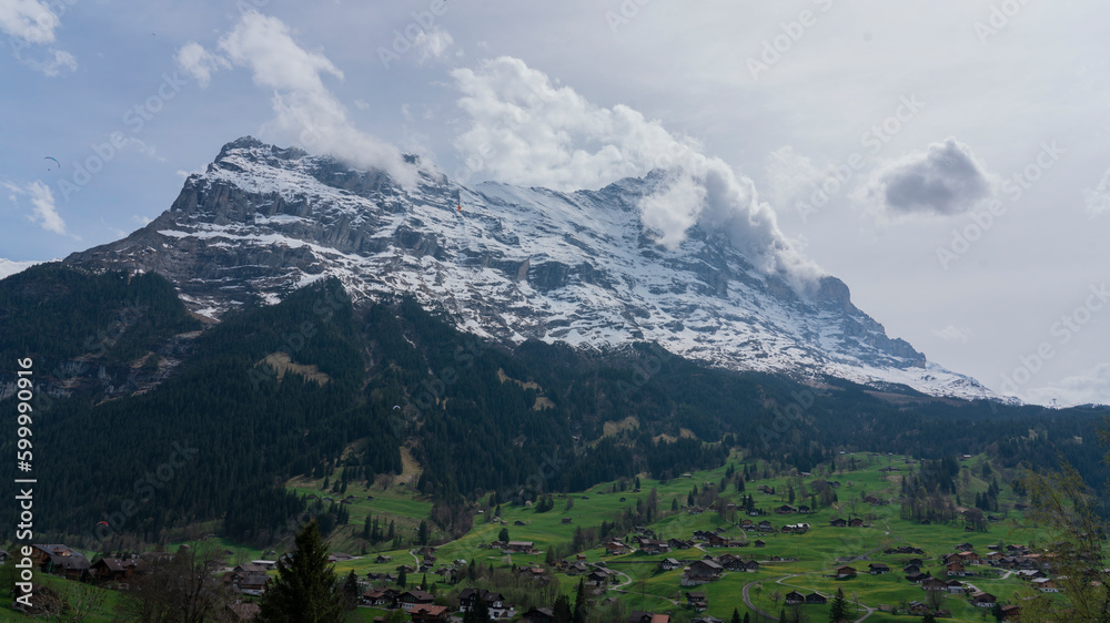 Nature in Grindelwald, Switzerland