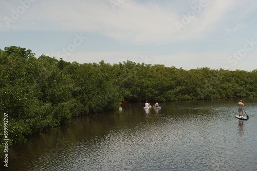 Multiple Paddle Boards and Kayak riders in a mangrove bay in Florida. On a sunny day and calm waters. 