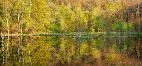 Green forest in Spring reflecting in Calm Lake
