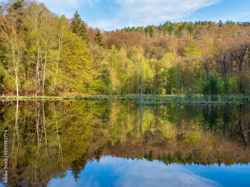 Fototapeta Naklejka Na Ścianę i Meble -  Beautiful Calm Lake surrounded by green forest in Spring