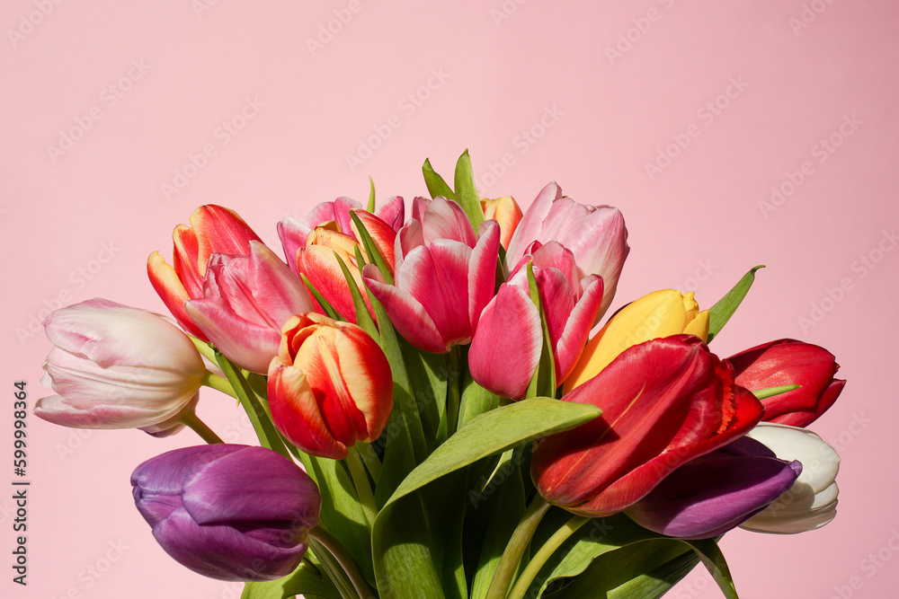 Fresch colorful tulips bouquet on a pink background. Greeting card. Close up, copy space Fresch colorful tulips bouquet on a pink background. Greeting card. Close up, copy space