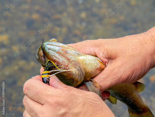 man holding and unhooking a fish. photography.