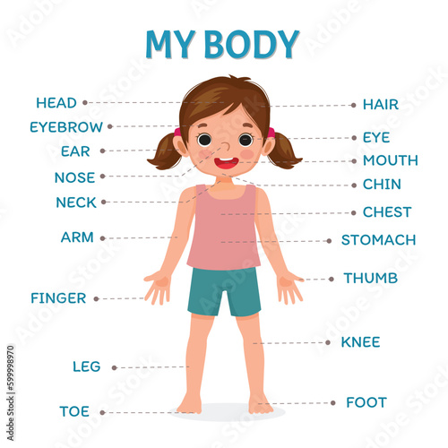 Cute little girl illustration poster of human body parts with diagram text label chart for kids learning educational  photo