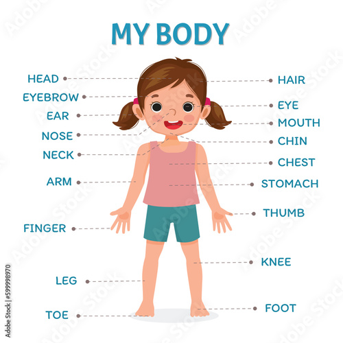 Body part of little girl anatomy poster with diagram text label chart for kids learning educational purpose