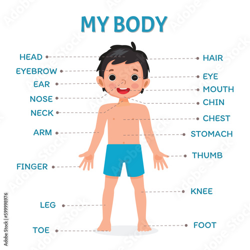 Cute little boy illustration poster of human body parts with diagram text label chart for kids learning educational purpose photo