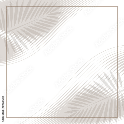 simple and modern background with palm leaves 