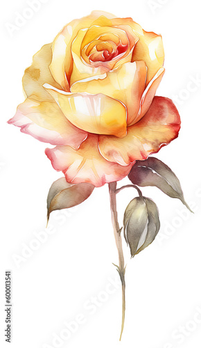 Rose Flower ,Watercolor  Painting isolated on white  .AI generated Illustration.