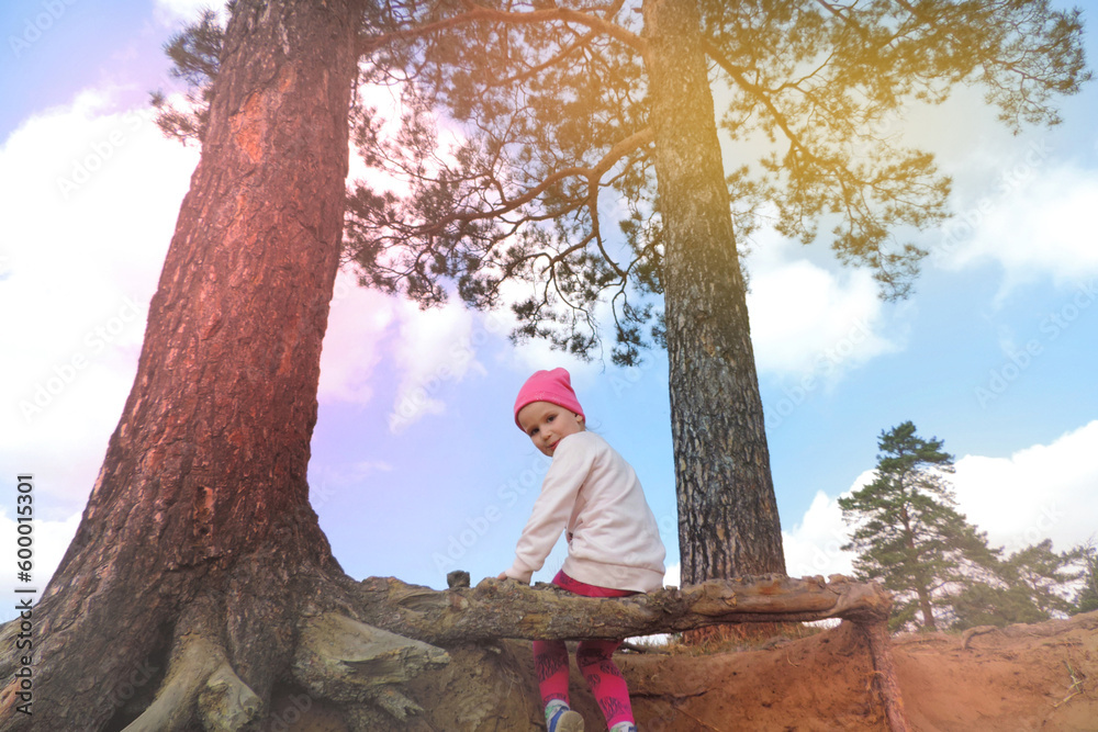 Little girl climbed up a  tree observing around. Adventure for young explorer. Happy childhood and freedom concept