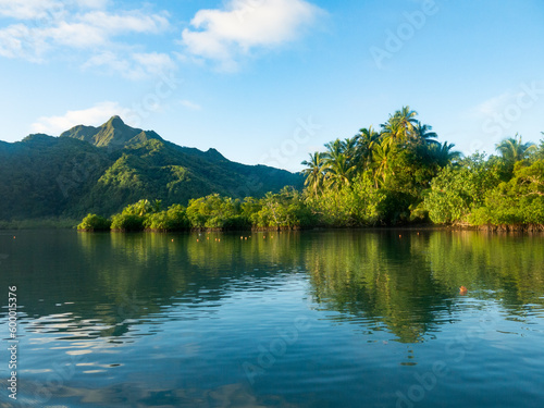 Mangroves in calm ocean and mountains, Pala lagoon, American Samoa © Hiromi Ito Ame