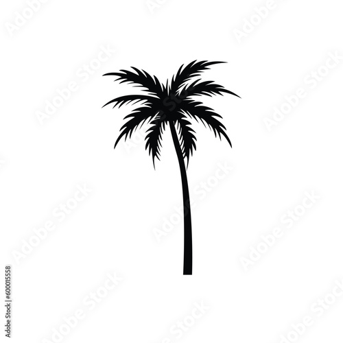 single tree palm vector isolated with background white