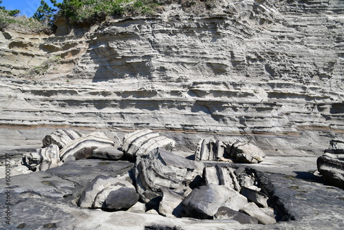 勝浦守谷海岸の地層