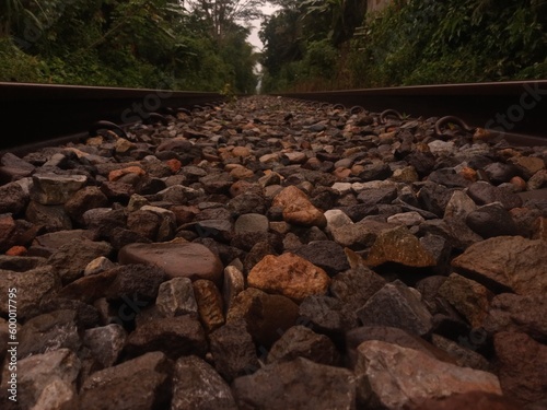 Locomotive railway cuts into the forest