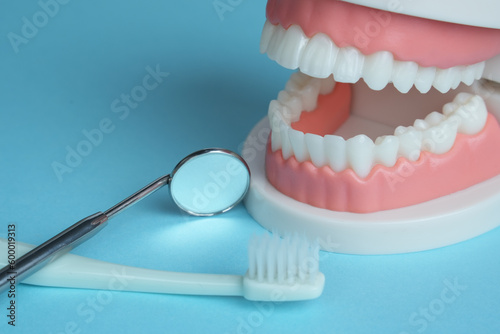 デンタルケア 歯科 歯磨き 歯科検診 歯鏡