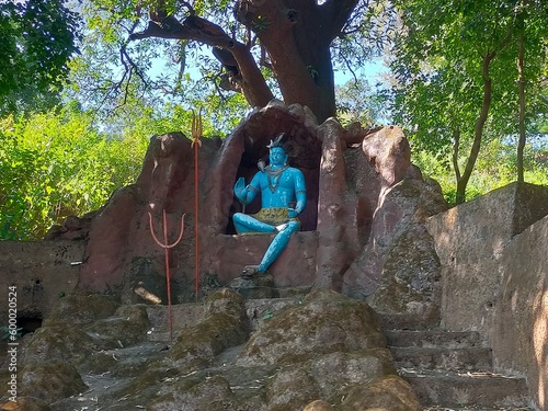 person climbing on a tree