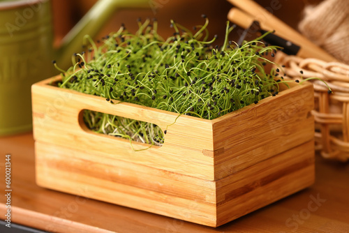 Wooden box with fresh micro green on table