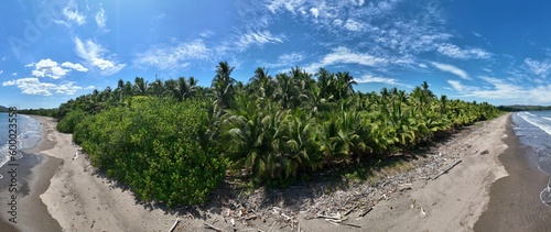 Wallpaper Mural .Experience the ultimate tropical getaway at Tambor Beach in beautiful Costa Rica, complete with swaying palm trees and white sand. Torontodigital.ca