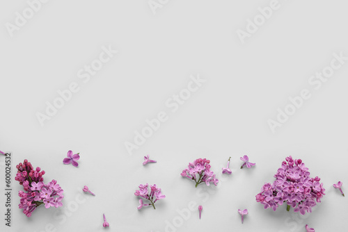 Blooming lilac flowers on grey background