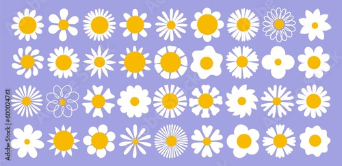Cute daisy flowers large collection. different shapes white inflorescences, gentle camomiles petals, cartoon field plants, vector set