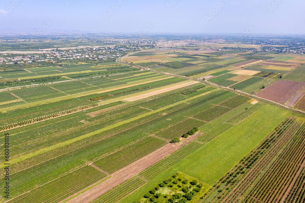 Drone view of farmland on Ararat Plain on sunny summer day. Armavir Province, Armenia.