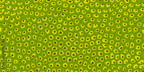 Jackfruit texture for pattern, vector art

