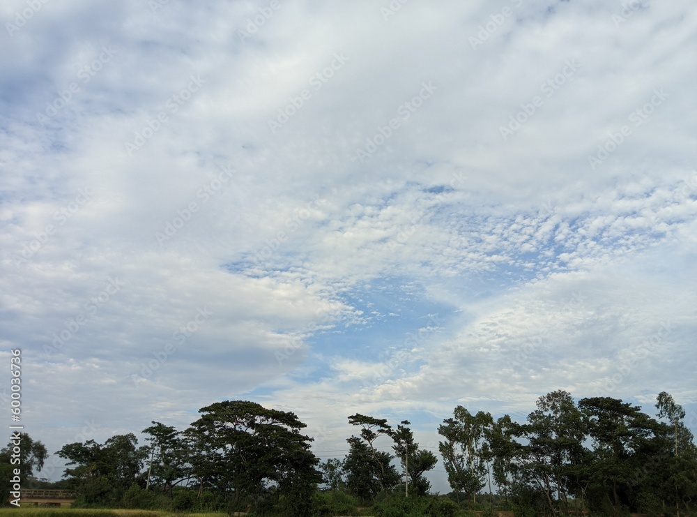 Obraz premium clouds and sky