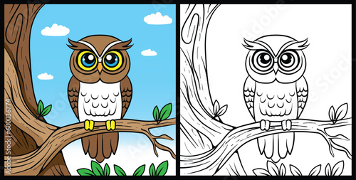 owl illustration for coloring page, simple design