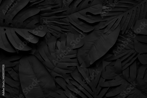 tropical leaf,leaves collection for design with dark color.creative and minimal art nature background.decoration pattern © hakinmhan